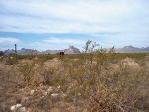 58151 W CAMELBACK Road, Tonopah, AZ 85354