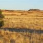 TBD CR 5370 PArcel 1, Concho, AZ 85924 ID:3229545