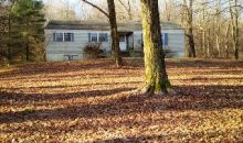 1068 Route 343 Dover Plains, NY 12522