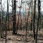 65 Leatherwood Dr, Berryville, AR 72616 ID:3324618