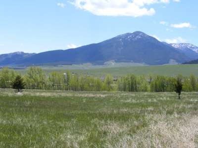 6 Elk Run Drive, Red Lodge, MT 59068