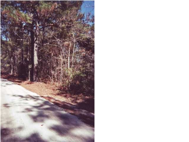 0 BROOMSTRAW HILL RD, Awendaw, SC 29429