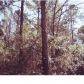 0 BROOMSTRAW HILL RD, Awendaw, SC 29429 ID:1092746