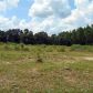 962 Austin Road, Black, AL 36314 ID:1134984