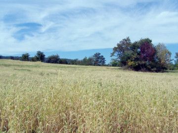 RAVEN ROCK RD - LOT 7, Sabillasville, MD 21780