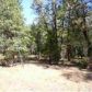 2363 Secluded Valley Road, Greenville, CA 95947 ID:1136794