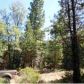 2363 Secluded Valley Road, Greenville, CA 95947 ID:1136800