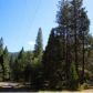 2363 Secluded Valley Road, Greenville, CA 95947 ID:1136795