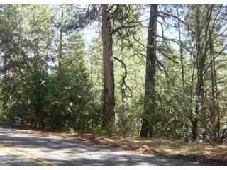 23709 S. Fork Road, Twain Harte, CA 95383