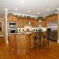 2848 Grey Moss Pass, Duluth, GA 30097 ID:2553755