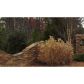 1389 Brody Drive, Marietta, GA 30064 ID:5207609