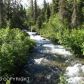 L5 West River Drive, Eagle River, AK 99577 ID:3353107