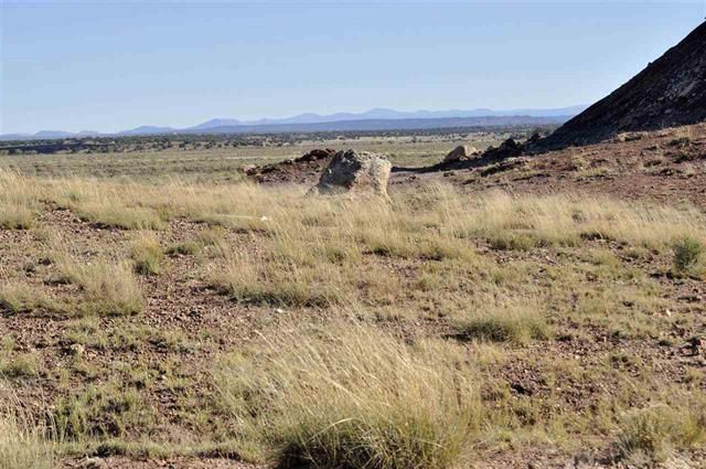 Lot 36 River Meadows Ranch #1, Concho, AZ 85924