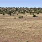 Lot 36 River Meadows Ranch #1, Concho, AZ 85924 ID:3229537