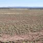 Lot 36 River Meadows Ranch #1, Concho, AZ 85924 ID:3229540