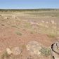 Lot 36 River Meadows Ranch #1, Concho, AZ 85924 ID:3229542