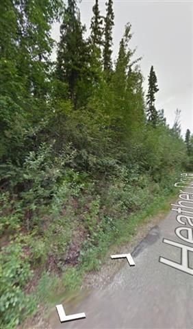 nhn Chena Rose Court Lot 12, Fairbanks, AK 99709