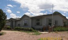 425 Thunderbird Dr Cotopaxi, CO 81223