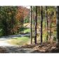 15 Francis Drive, Ellijay, GA 30540 ID:2560975