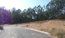 Lot 35 North Shores Benton, AR 72019