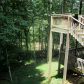 1341 Zenith Trail, Ellijay, GA 30540 ID:2684077