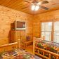 165 Trails End Summit, Ellijay, GA 30540 ID:3937271