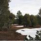 Lot 23 Wilson Road, Show Low, AZ 85901 ID:1314669