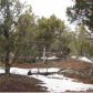 Lot 23 Wilson Road, Show Low, AZ 85901 ID:1314671