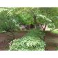 4854 Elam Road, Stone Mountain, GA 30083 ID:2680197