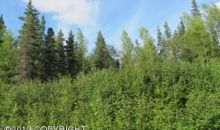 3401 W Coghlan Circle Wasilla, AK 99654