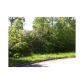 932 Ardmore Trail, Hoschton, GA 30548 ID:2468455