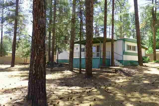 1991 W Stratton, Show Low, AZ 85901