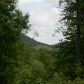 0 Laurel Creek Trail, Cherrylog, GA 30522 ID:2541261