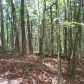 0 Laurel Creek Trail, Cherrylog, GA 30522 ID:2541263