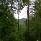 0 Laurel Creek Trail, Cherrylog, GA 30522 ID:2541266