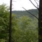 0 Laurel Creek Trail, Cherrylog, GA 30522 ID:2541267