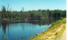 Lot 47 Paradise River Resort Judsonia, AR 72081