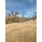 17510 Chalk Mountain Rd, Clearlake Oaks, CA 95423 ID:3576066