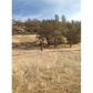 17510 Chalk Mountain Rd, Clearlake Oaks, CA 95423 ID:3576068