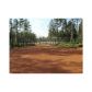 0 Racetrack Road, Danielsville, GA 30633 ID:3435332