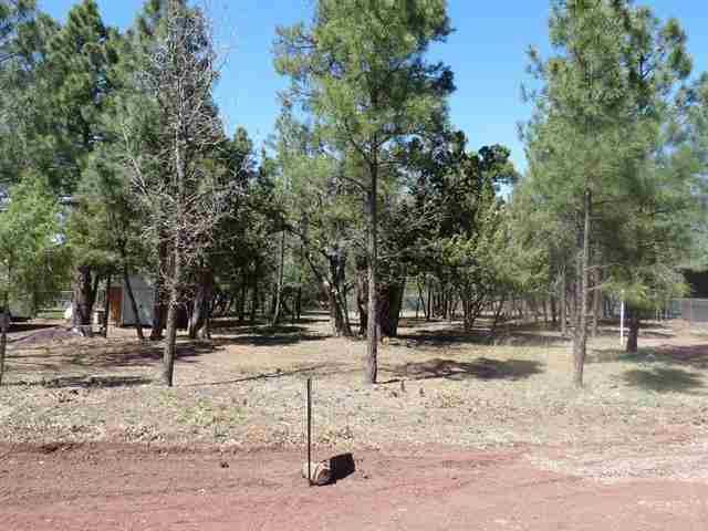 2560 Mescalero, Show Low, AZ 85901