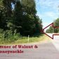 00 Walnut Avenue, Bull Shoals, AR 72619 ID:1166888