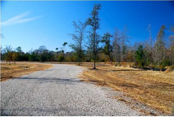 0 COUNTY LINE RD, Ravenel, SC 29470