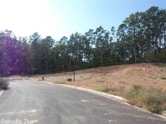 Lot 35 North Shores, Benton, AR 72019