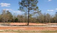 Lot 5 County Road 539 Enterprise, AL 36330