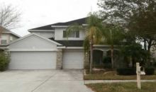 17805 Arbor Creek Dr Tampa, FL 33647