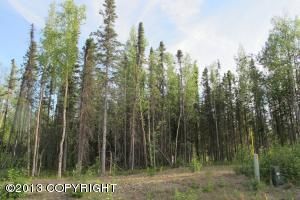 3516 W Coghlan Circle, Wasilla, AK 99654