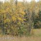 3516 W Coghlan Circle, Wasilla, AK 99654 ID:3957508