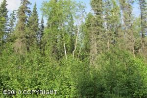 3367 W Coghlan Circle, Wasilla, AK 99654