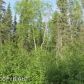 3367 W Coghlan Circle, Wasilla, AK 99654 ID:3957781